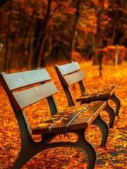 Jiang Mingzhu Zhou L