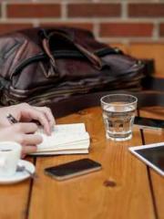 The  Princess  Rebor