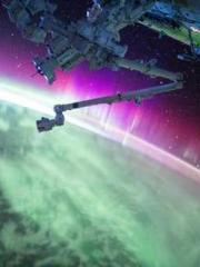 Falling for You: The