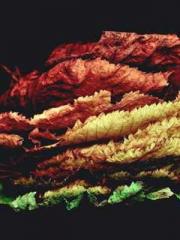 lt;lt;Marvel: Connec