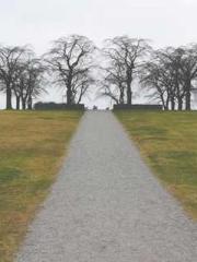 A Lifetime of Captiv